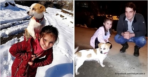 Mädchen läuft mehr als zwei Kilometer im Schnee, um ihren kranken Hund zum Tierarzt zu bringen